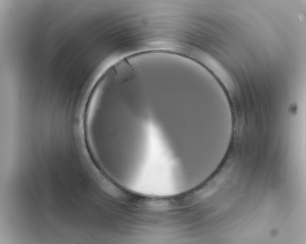 X0000103151291200809192020