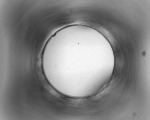 X0000103151292200809192020