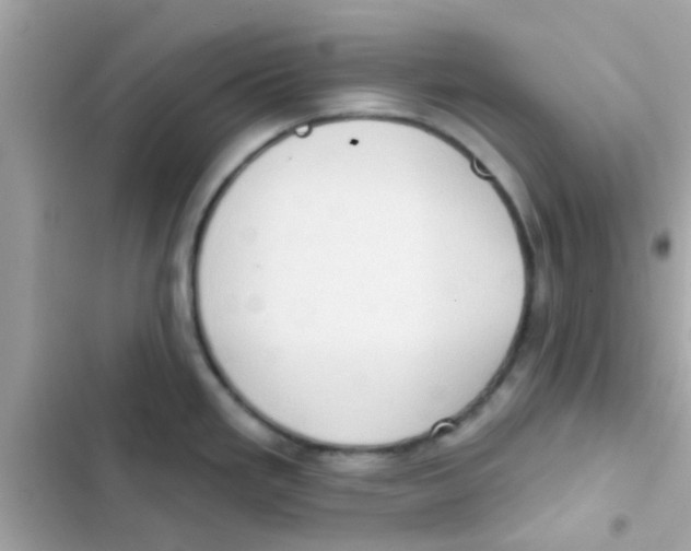 X0000103151293200809192020