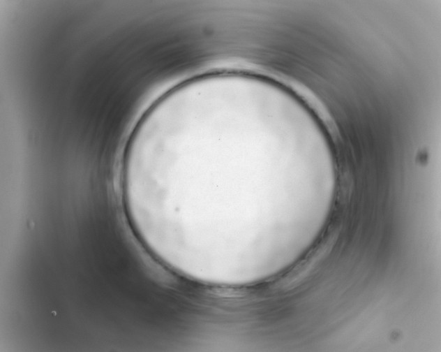 X0000103151295200809192020