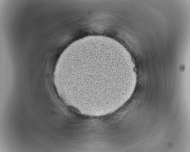 X0000103151297200809192019