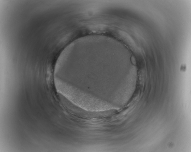 X0000103151298200809192019