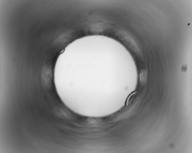 X0000103151299200809192019