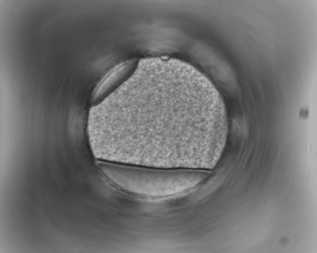 X0000103151300200809192019