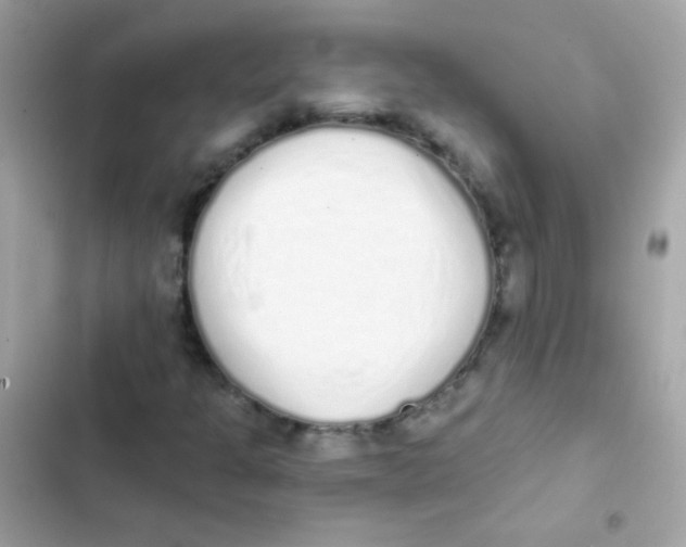 X0000103151301200809192019