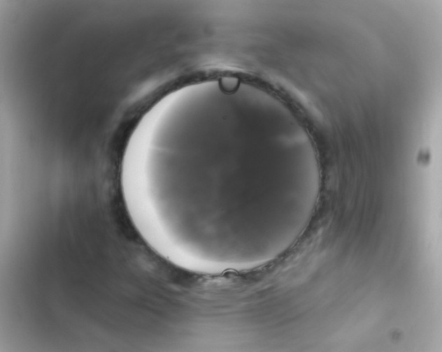 X0000103151303200809192019