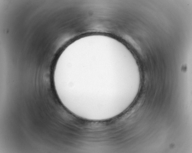 X0000103151307200809192019