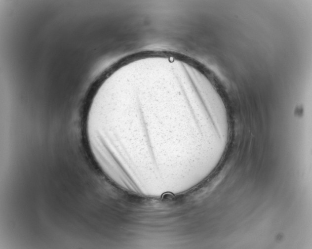 X0000103151311200809192019