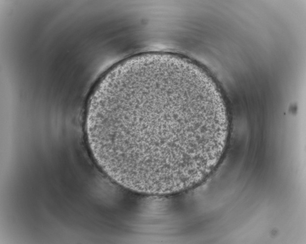 X0000103151314200809192020