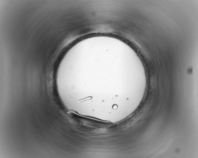 X0000103151315200809192020