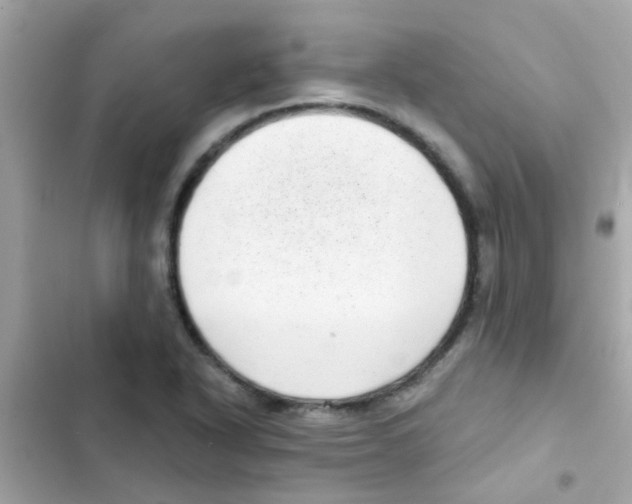 X0000103151318200809192020