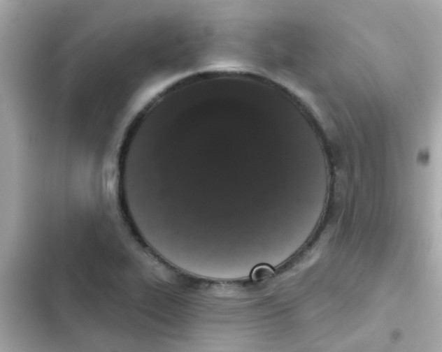 X0000103151319200809192020