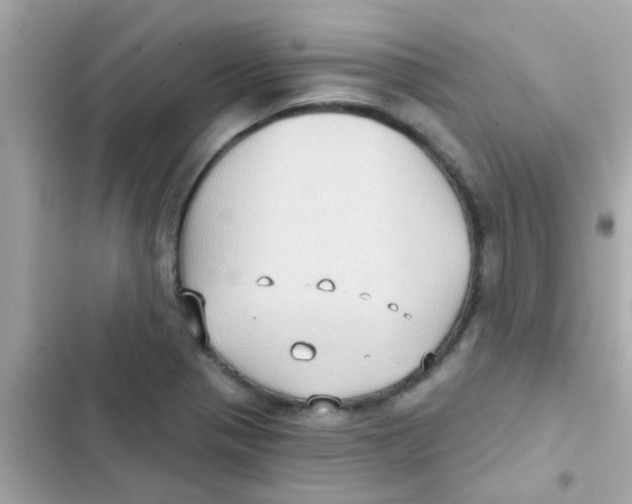 X0000103151321200809192020