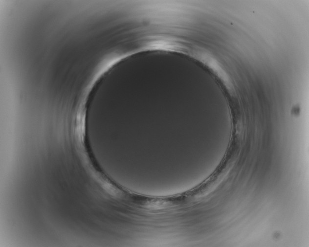 X0000103151323200809192020