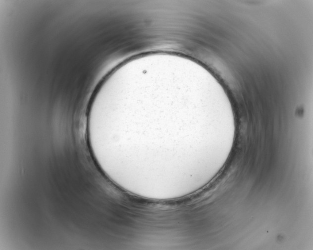 X0000103151324200809192020