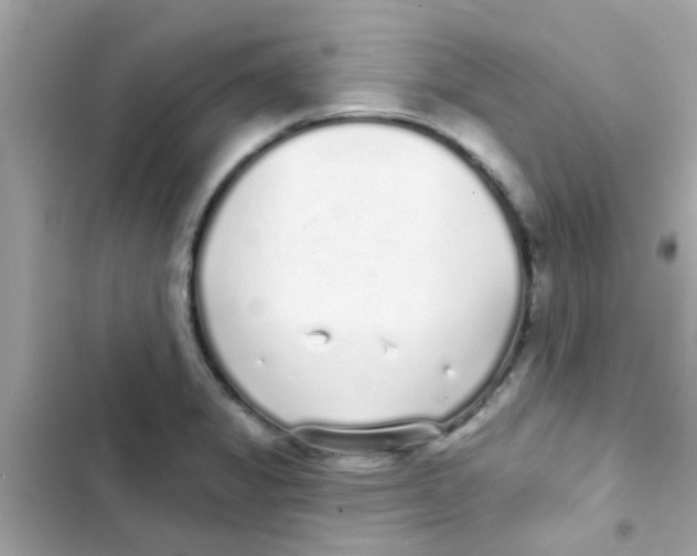 X0000103151325200809192020