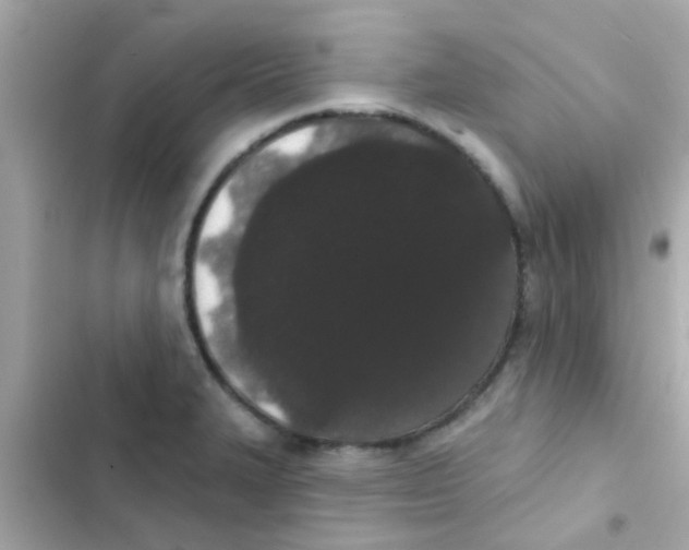 X0000103151327200809192020