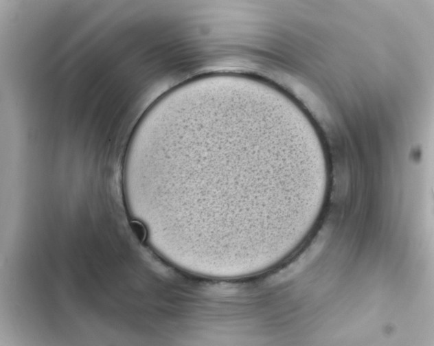 X0000103151329200809192020