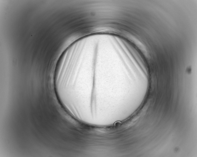 X0000103151330200809192020