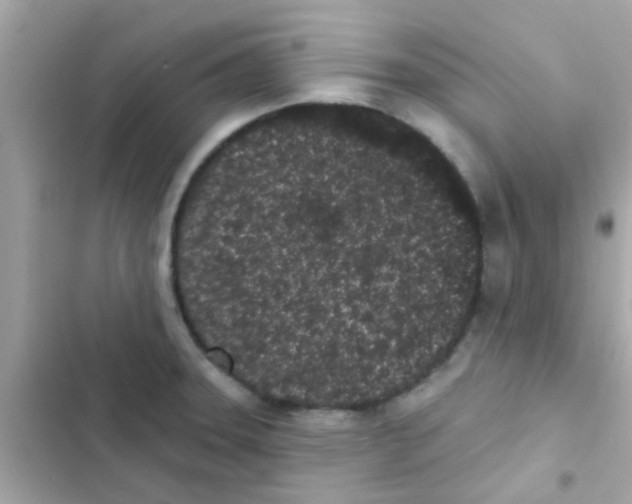 X0000103151331200809192020