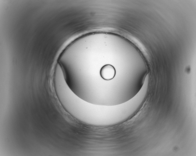 X0000103151332200809192020