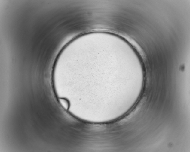 X0000103151333200809192020