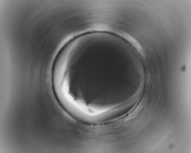 X0000103151334200809192020