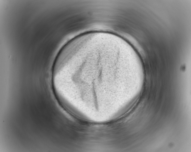 X0000103151335200809192020