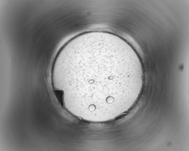 X0000103151336200809192020