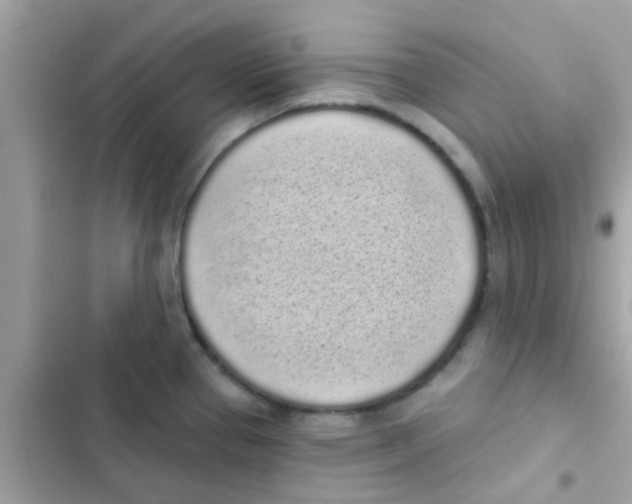 X0000103151337200809192020