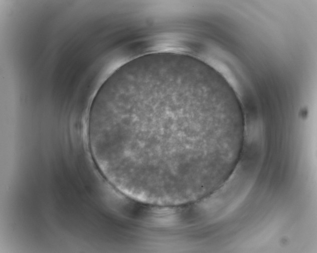 X0000103151338200809192020