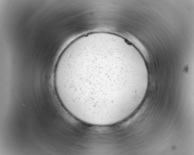 X0000103151340200809192020