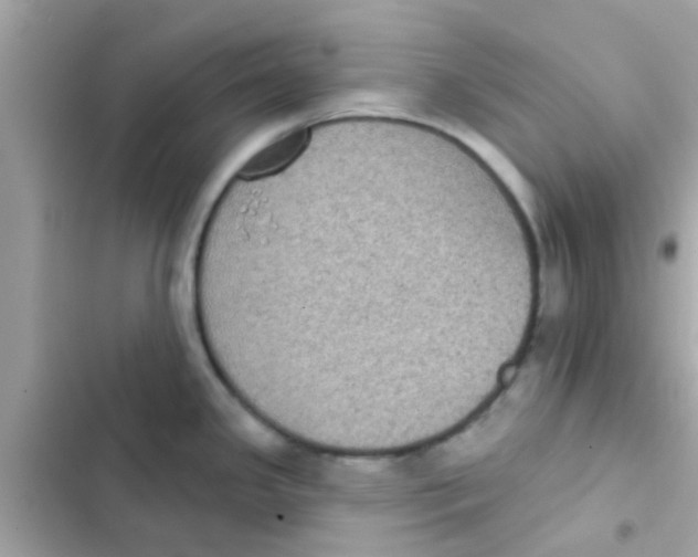 X0000103151341200809192020