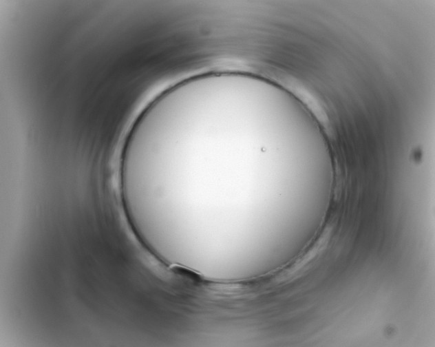 X0000103151342200809192020