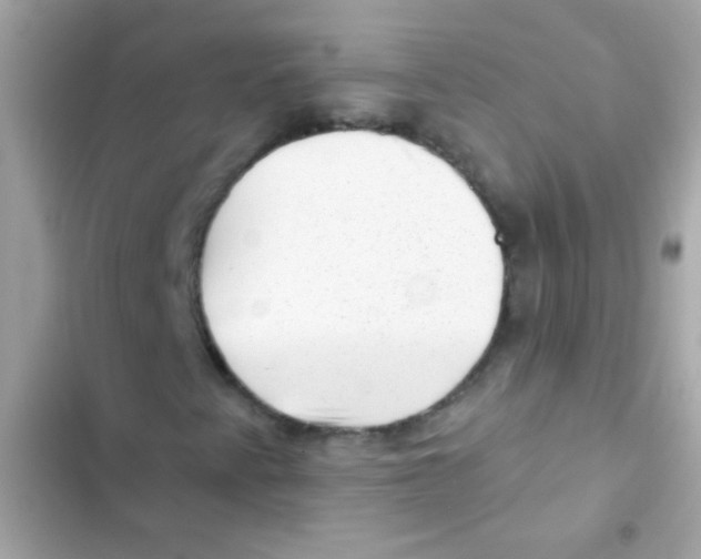 X0000103151345200809192019