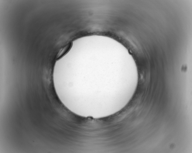 X0000103151348200809192019