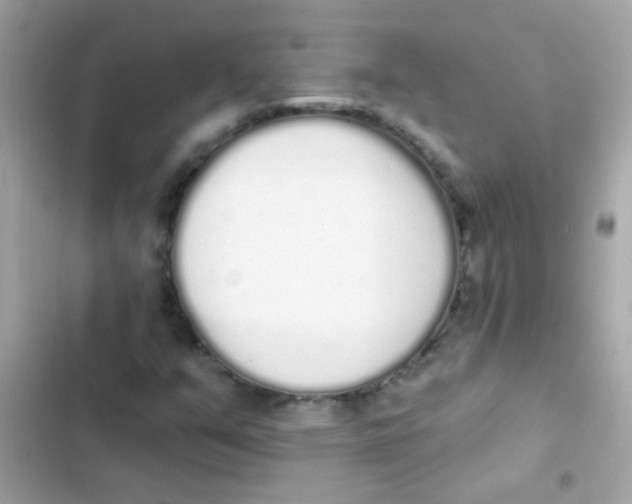 X0000103151351200809192019