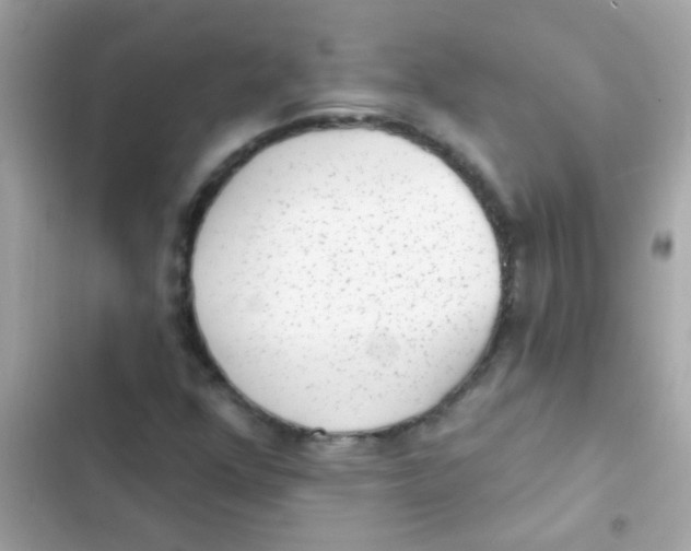 X0000103151352200809192019