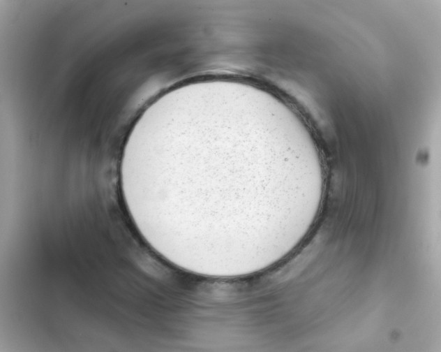 X0000103151355200809192019