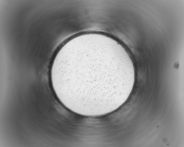 X0000103151356200809192019