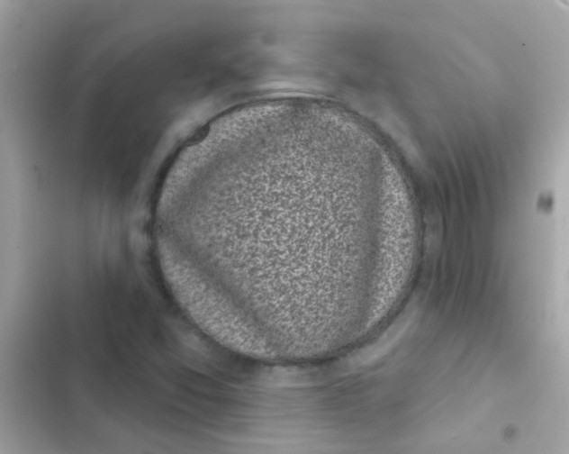 X0000103151357200809192019