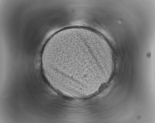 X0000103151358200809192019