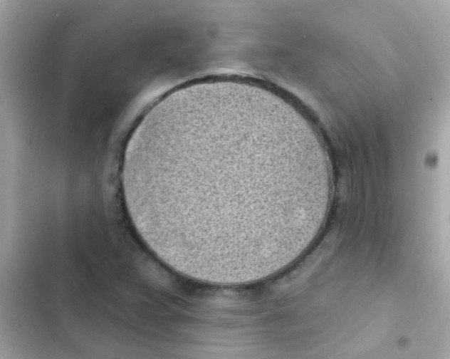 X0000103151359200809192019