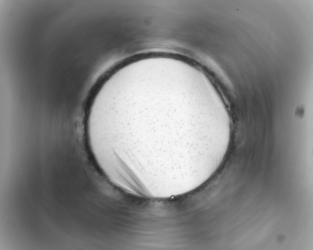 X0000103151360200809192019