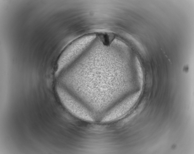 X0000103151361200809192019