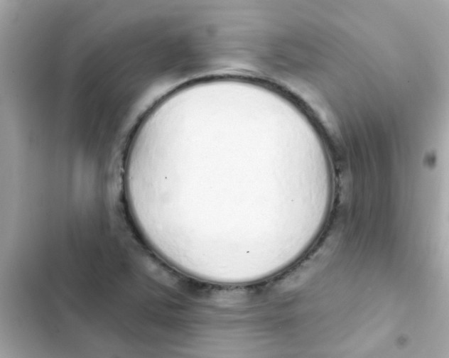 X0000103151363200809192019