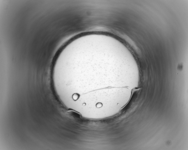 X0000103151364200809192019