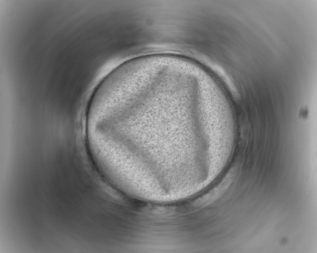 X0000103151365200809192019