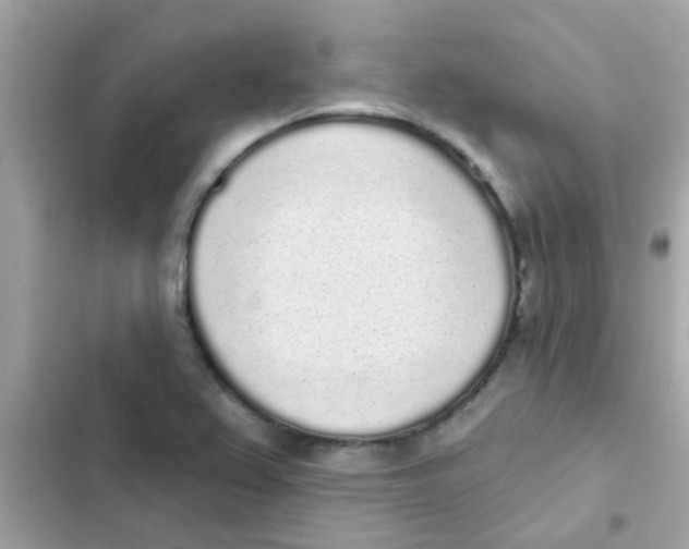 X0000103151367200809192019