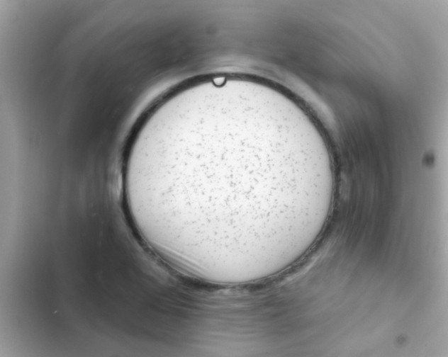 X0000103151368200809192019